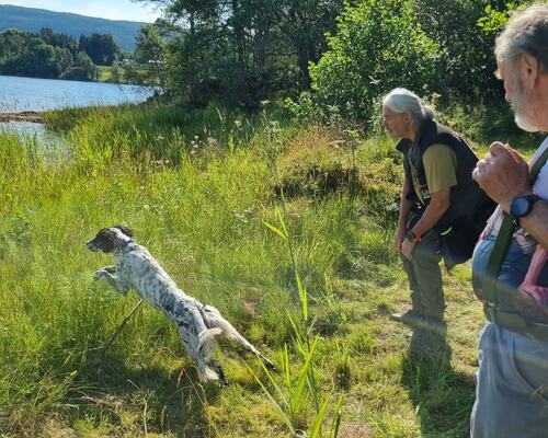 I farta på vann-apporten