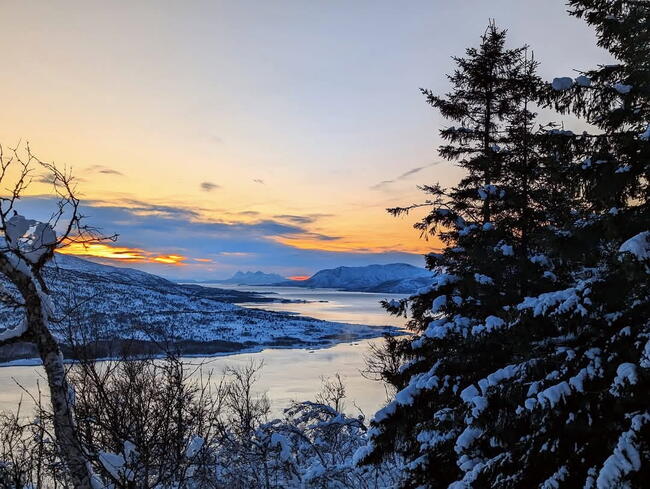 Ballstadåsen. Foto: Mari-Janne Hjellnes