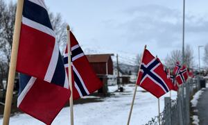 Bildet viser flere småe norske flagg