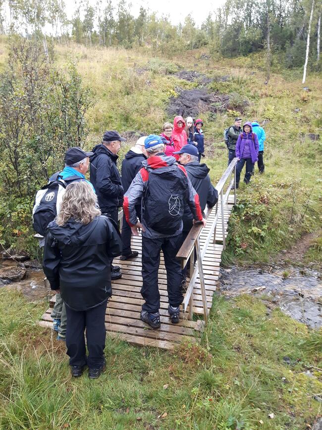 Turfolk som går over ei bru i Boltåsen