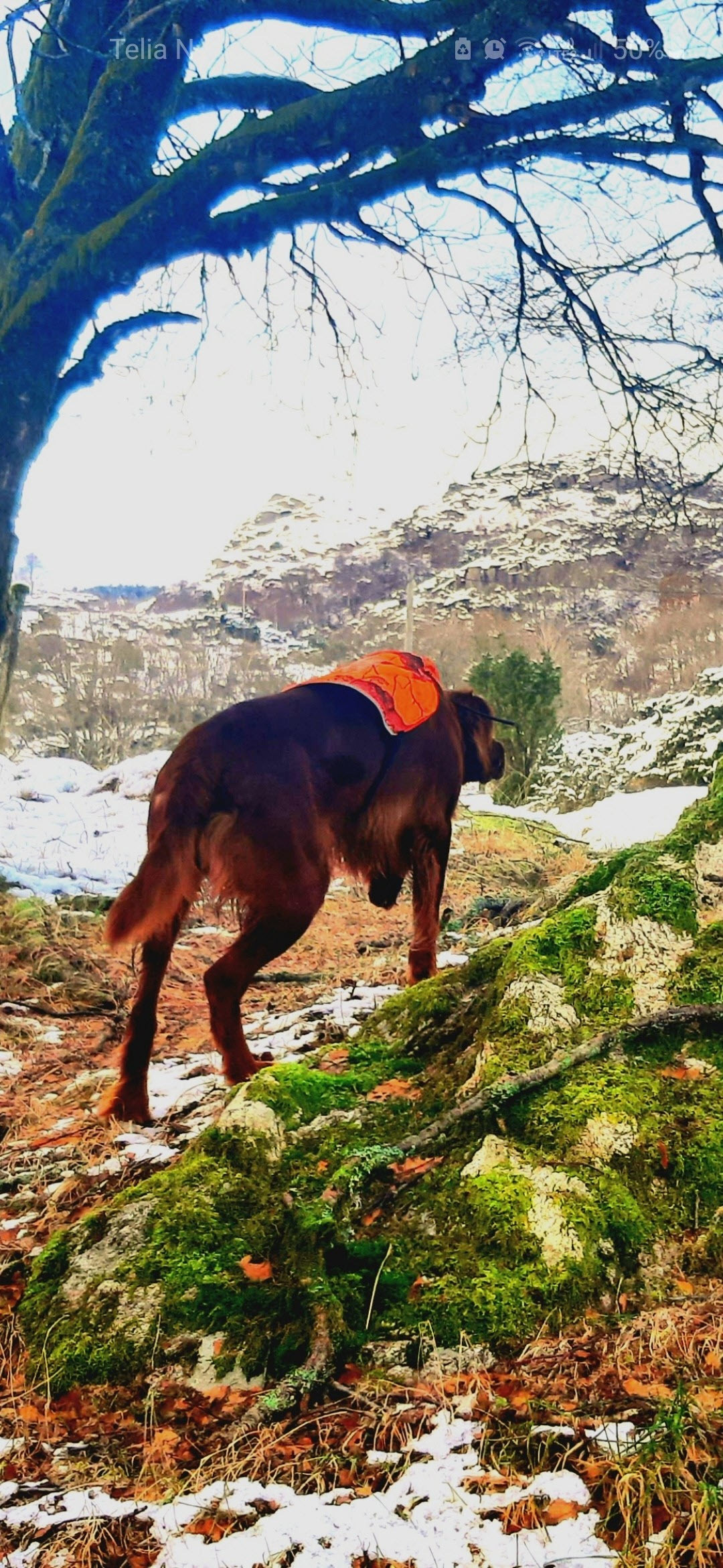 Jørgen Larshus og Odin 3 AK 22.03.jpg