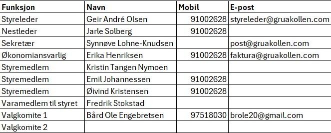 Styret 2026-2027.jpg