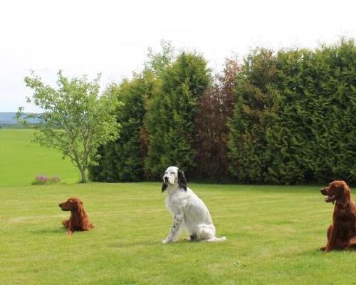 4cf4383f77dd45e3adbf0cb2b9b98579