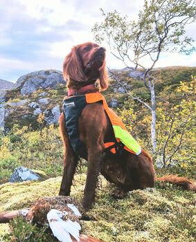 Kvernsjøberget\\\'s Juva