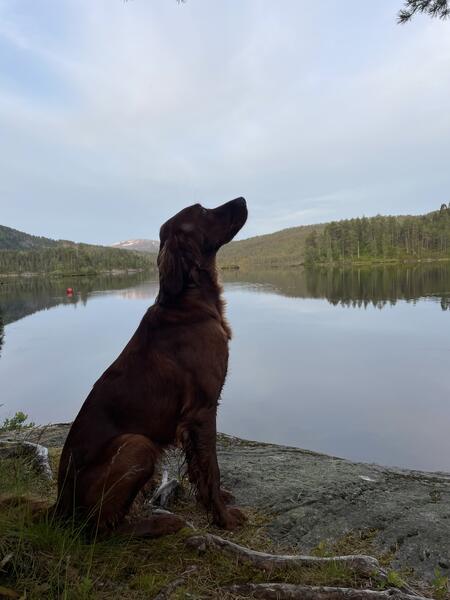 Helligfjellet\\\'s KR Teelin