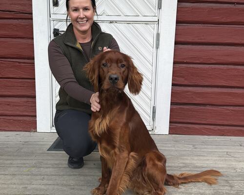 Juniorklasse Hannhund US Toffee Juniorklasse Hannhund US Toffee