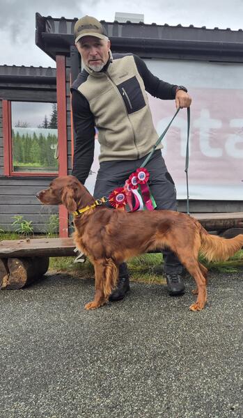 Sølvklumpen\\\'s Stallo Champion