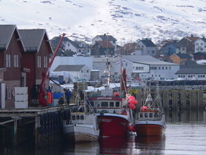 Kjøllefjord havn
