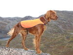 NM Red Yukon_150x113