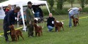 Vestfoldutstillingen_125x63
