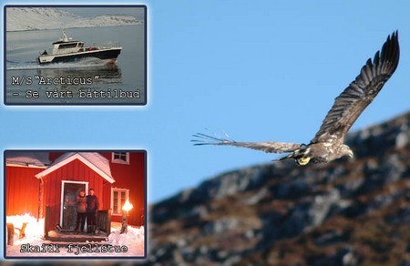 Arctic Nature AS Arctic Nature AS