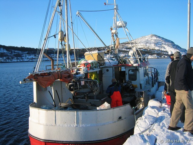ill.foto; Salg av fisk ved kai