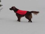 Discovery vinter_150x113