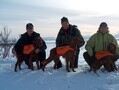 NM vinter 2009 010_120x90