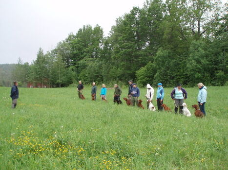 dressurkurs 2009_500x375
